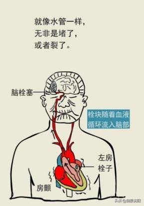 1627955310809092.jpg 1627955310809092.jpg