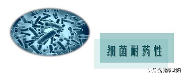 1628053259882634.jpg 1628053259882634.jpg